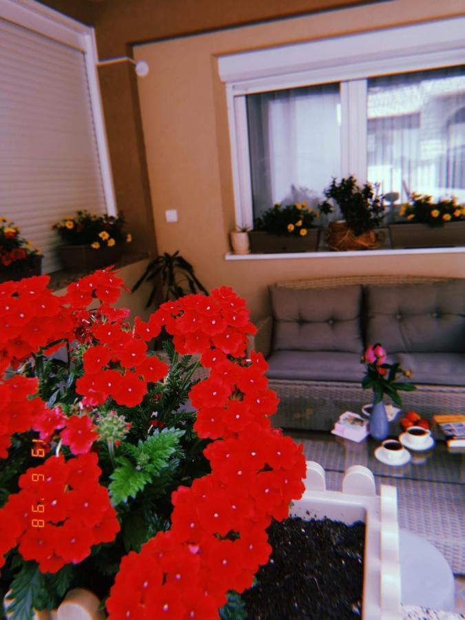 Apartman Jela Nova Varoš Zewnętrze zdjęcie