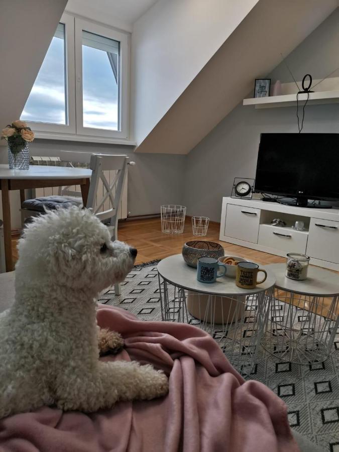 Apartman Jela Nova Varoš Zewnętrze zdjęcie